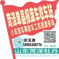 菏泽单县收车站报废咨询
